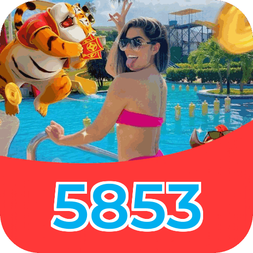 APK Android 255bet mostrando interface mobile aplicativo recursos instalação certificado digital assinatura verificada